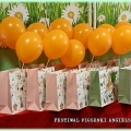 FPA-01